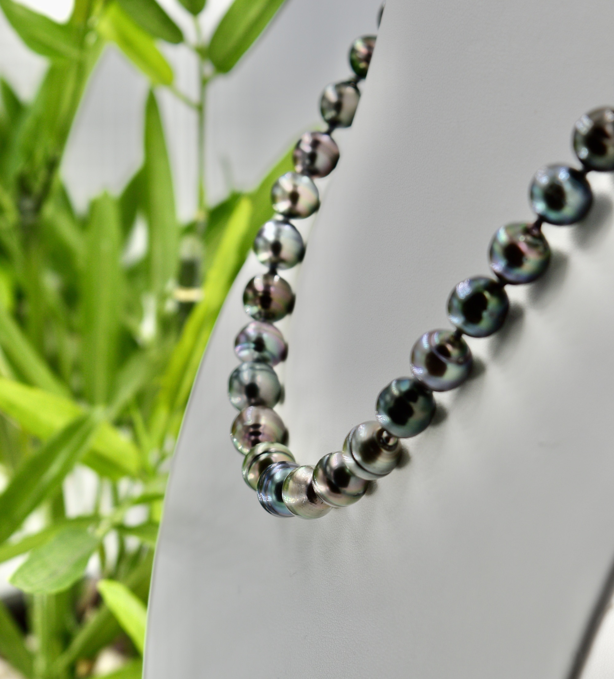 Collier choker perles noires de Tahiti 10/12mm