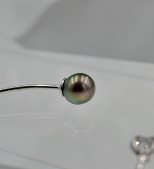 dsc_0039_1049911570